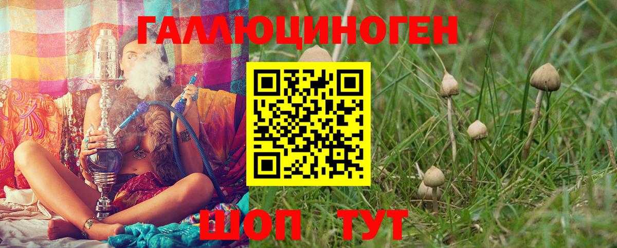 наркота  Галлюциногенные грибы Psilocybe  Красногорск  Вход с VPN  Галлюциногенные грибы мухоморы 