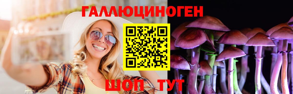 Псилоцибиновые грибы GOLDEN TEACHER Красногорск